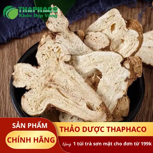 Bạch Truật tại THAPHACO