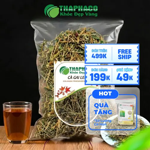 1kg Cà Gai Leo Sấy Khô Giá Tốt THAPHACO: Chất Lượng Vượt Trội, Quy Trình Chuẩn