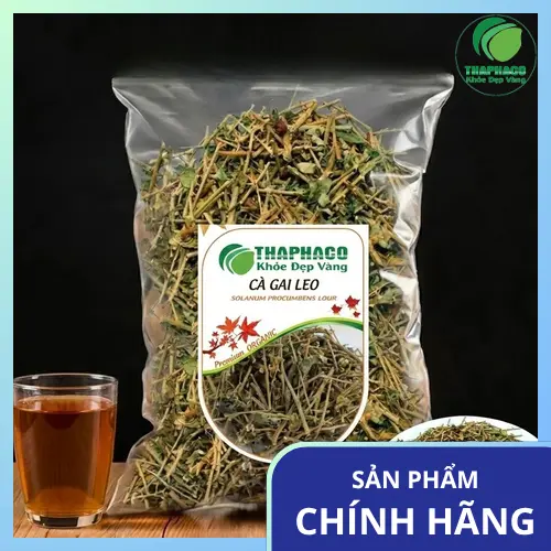 Địa Chỉ Bán Cà Gai Leo Sấy Khô Chất Lượng, Giá Tốt Tại TP.HCM - THAPHACO