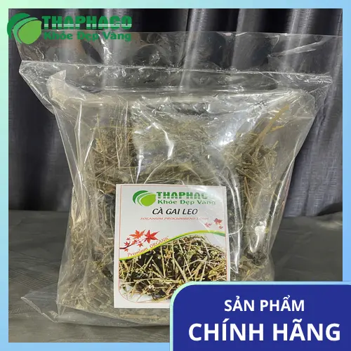 Quy trình sơ chế cà gai leo tại THAPHACO