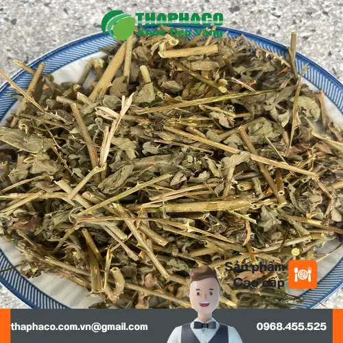 Cụm hoa Cà Gai Leo màu trắng tím