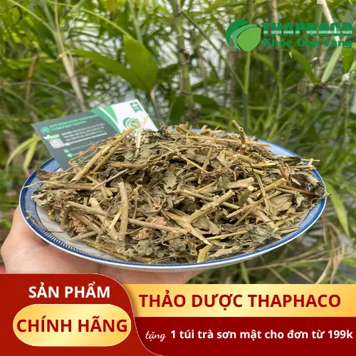 Cà gai leo khô đã được cắt nhỏ và phơi khô