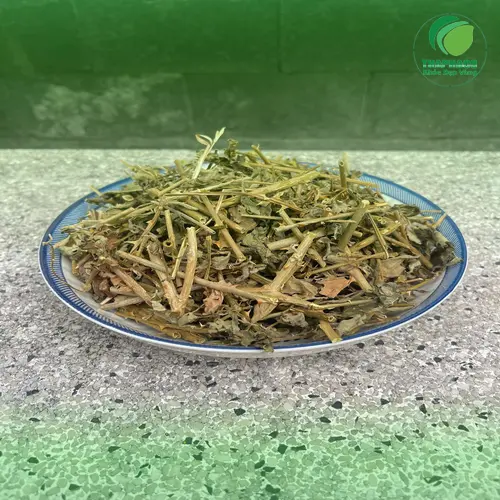 Cà gai leo khô sau khi sấy được đóng gói tiện lợi