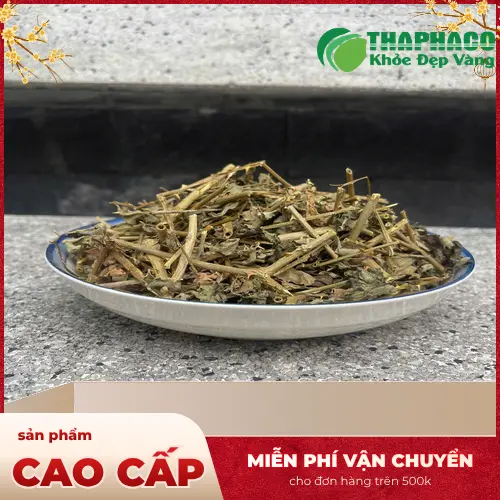 Đóng gói cà gai leo sấy khô THAPHACO