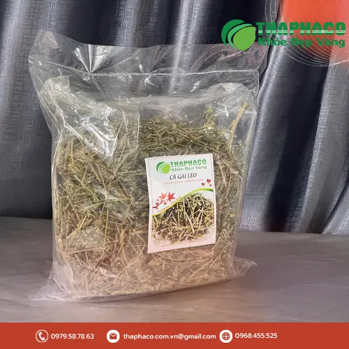 Nước Cà Gai Leo sắc uống hàng ngày