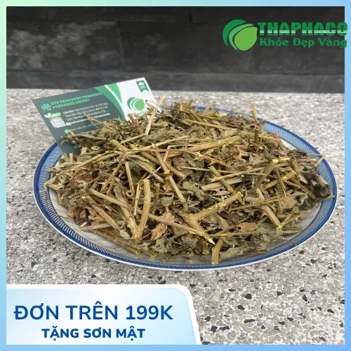 Dược liệu Cà Gai Leo khô