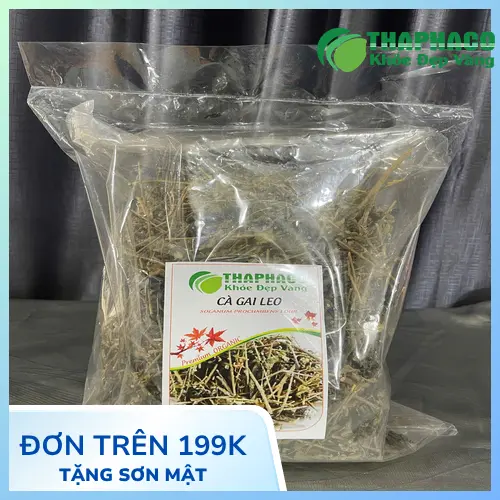 Liên hệ mua cà gai leo sấy khô THAPHACO