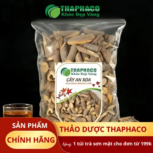 Cây An Xoa mọc hoang trong tự nhiên