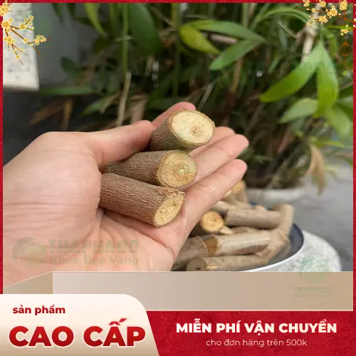 Lá và quả cây An Xoa với đặc điểm lông mịn