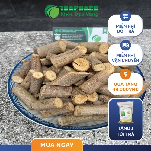Công dụng hỗ trợ sức khỏe của Cây An Xoa