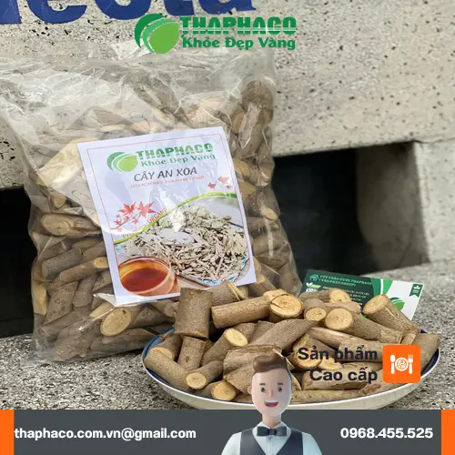 Lợi ích hỗ trợ sức khỏe của cây an xoa