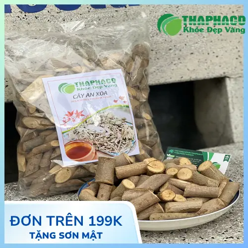 Cây An Xoa kém chất lượng