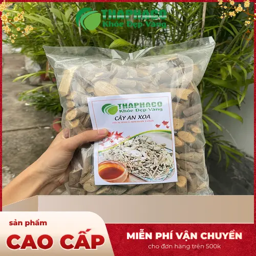 Cây An Xoa khô chất lượng tại THAPHACO