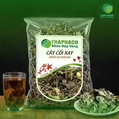 Mua Cây Cối Xay Uy Tín Tại TP.HCM - Chất Lượng, Giá Tốt