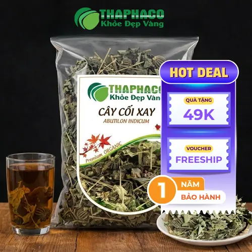 Địa Chỉ Bán Cây Cối Xay Khô Tại TP.HCM Chất Lượng