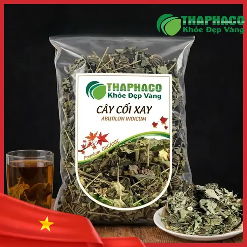 Cây Cối Xay tươi xanh