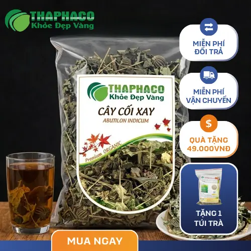 Hình ảnh cây cối xay tươi tự nhiên