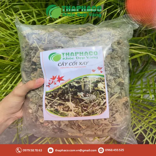 Hình ảnh cây cối xay khô tại THAPHACO