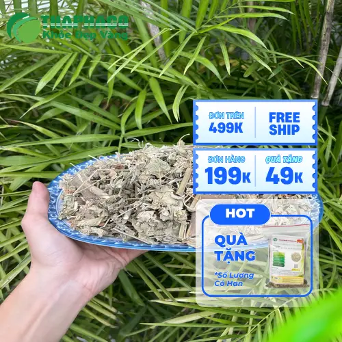 Pha trà Cây Cối Xay