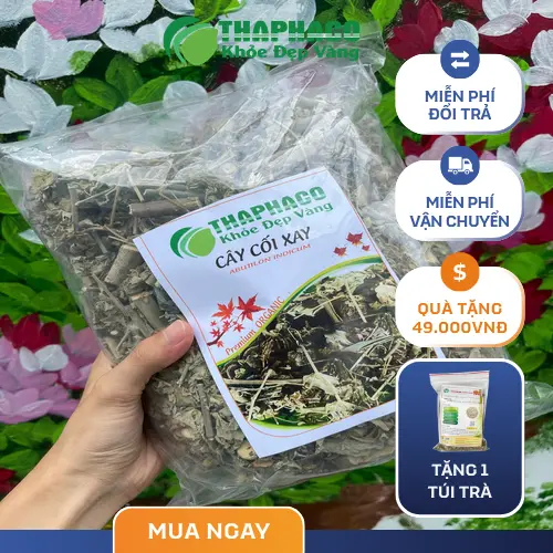 Hình ảnh quả và hạt cây cối xay