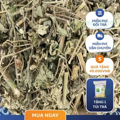 Sản phẩm Cây Cối Xay của THAPHACO