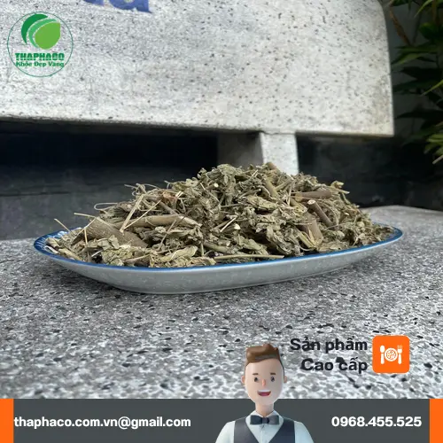 Hình ảnh Cây Cối Xay đã sơ chế tại THAPHACO