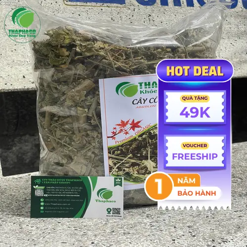 Sản phẩm cây cối xay khô chất lượng từ THAPHACO