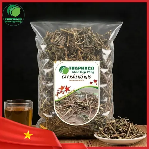 Hình ảnh cây xấu hổ còn tươi