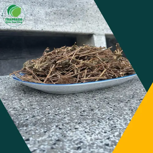 Hình ảnh một tách trà cây xấu hổ khô đang được pha