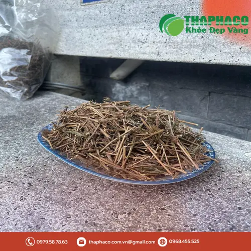 Hình ảnh minh họa cảm giác mệt mỏi, uể oải do tác dụng phụ của thảo dược