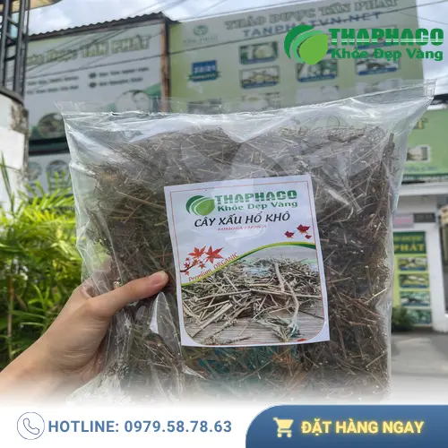 Hình ảnh minh họa người lái xe cần thận trọng khi dùng cây xấu hổ