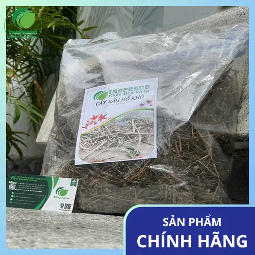 Cách dùng cây xấu hổ sắc nước uống