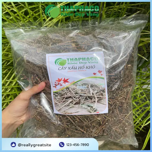 Sản phẩm rễ cây xấu hổ khô đã được đóng gói tại THAPHACO
