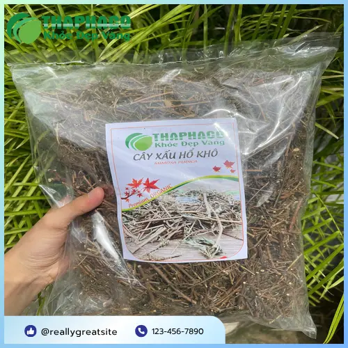 Hình ảnh minh họa cách sắc nước cây xấu hổ để uống