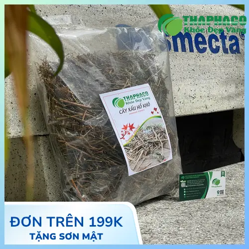 Mua cây xấu hổ chất lượng tại THAPHACO