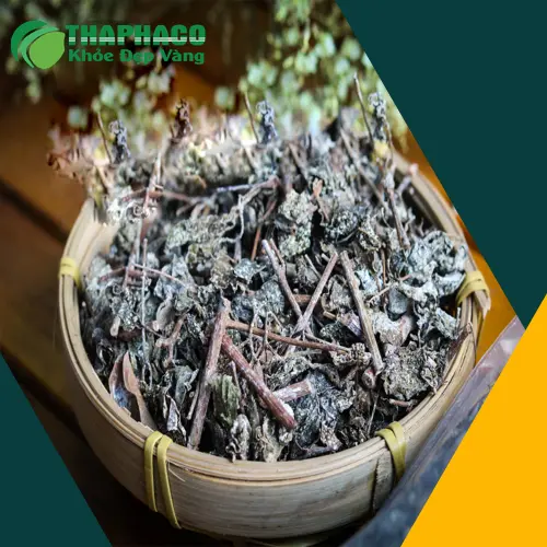 Hình ảnh nước chè dây pha có màu vàng trong, thơm mát