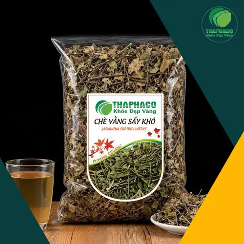 Hình ảnh cây chè vằng với đặc điểm thân, lá, hoa
