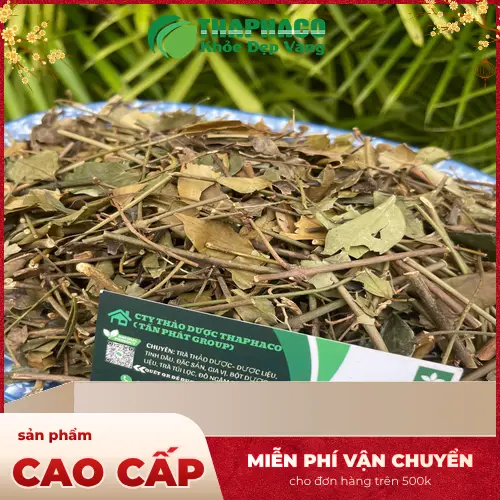 Quy trình sản xuất chè vằng khô tại THAPHACO