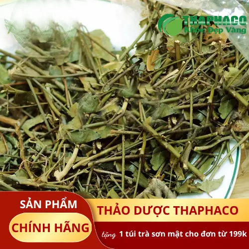 Quy trình đóng gói Chè Vằng tại THAPHACO