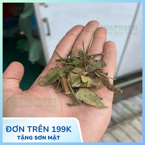 Mẹ bỉm sữa đang chăm sóc con