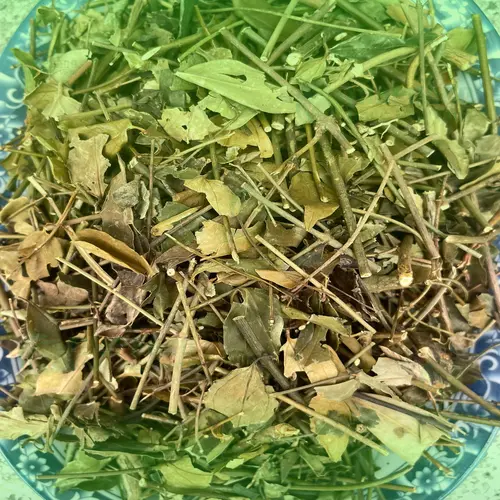 Hình ảnh phụ nữ sau sinh đang cho con bú, gợi ý việc dùng chè vằng lợi sữa