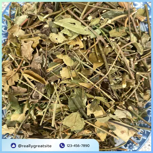 Hình ảnh lưu ý khi dùng chè vằng khô