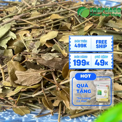Chè Vằng Khô THAPHACO đóng gói tiện lợi