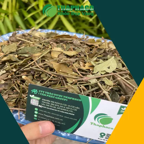 Chè Vằng Khô chất lượng cao tại THAPHACO