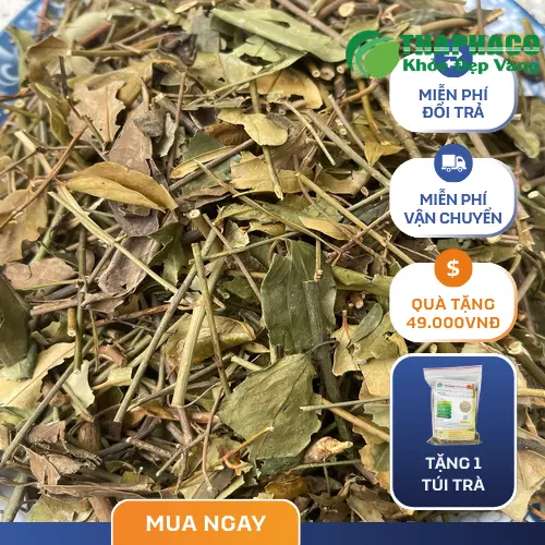 Hình ảnh túi chè vằng sấy khô THAPHACO