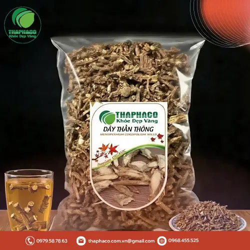 Dây Thần Thông tươi, một loại thảo dược quen thuộc