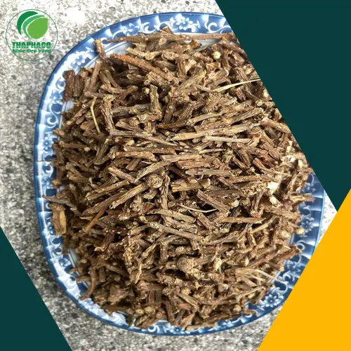 Đóng gói dây thần thông khô trong túi hút chân không để ngăn ẩm mốc.
