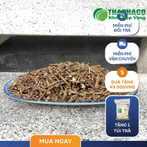 Quy trình sơ chế Dây Thần Thông Sấy Khô tại THAPHACO