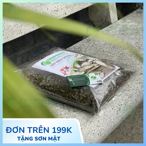 Kiểm tra dây thần thông khô định kỳ các dấu hiệu ẩm mốc hoặc côn trùng.