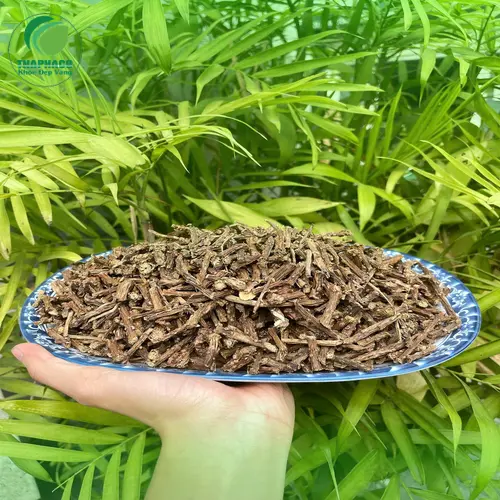 Chuyên gia hướng dẫn sử dụng dây thần thông an toàn